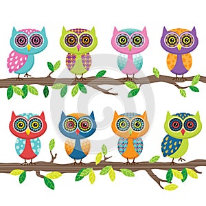 Cute Owl Collection