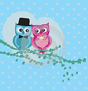Cute owl couple in love