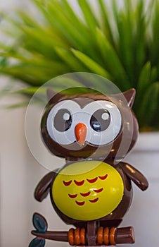 Cute owl doll at home