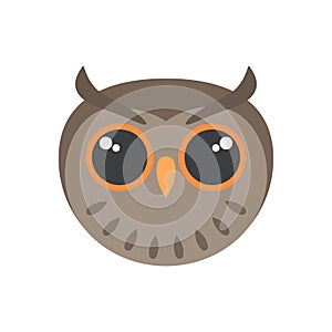 Cute owl face, portrait of wild forest brown bird, comic animal mascot for avatar