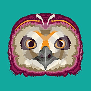 Cute Owl face vector illustration in cartoon style design