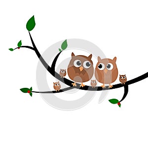 A cute owl family sitting in a tree vector illustration isolated in white background.