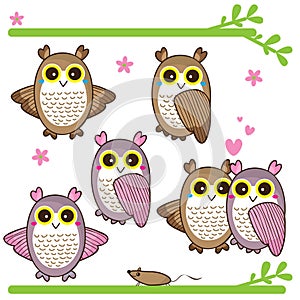 Cute owl feminine