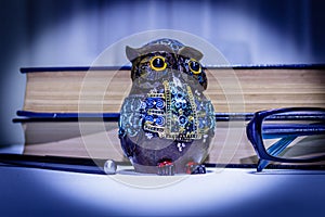 Cute owl figurine with books, pen and glasses