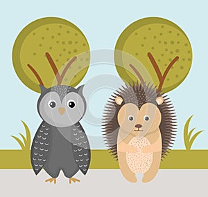 cute owl and hedgehog wild animals forest landscape tree