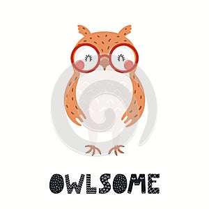 Cute owl illustration