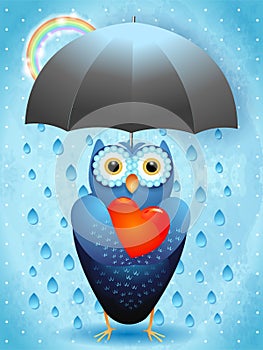 Cute owl in love with umbrella, rain and rainbow.