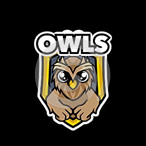 Cute owl mascot sport logo