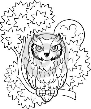 Cute owl sitting on a branch, coloring book, funny illustration photo