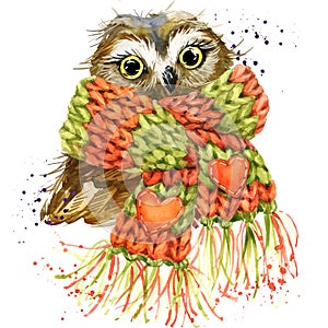 Cute owl T-shirt graphics, snowy owl illustration with splash wa