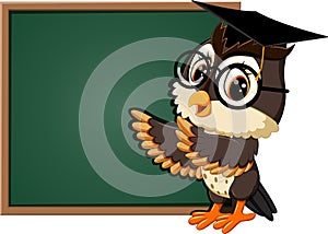 Cute owl teacher