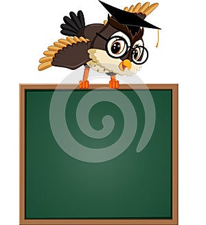 Cute owl teacher