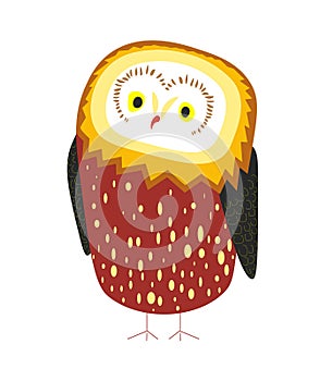 Cute owl with tick plumage and tiny beak