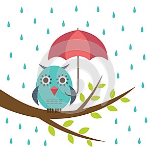 Cute owl with umbrella