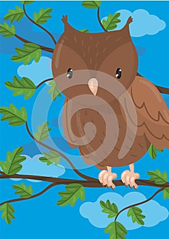 Cute owl vector illustration with woodland bird, design element for banner, flyer, placard, greeting card, cartoon style