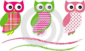 Cute Owl Vector Patterns Pink
