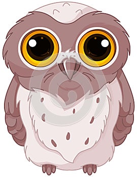 Cute owlet photo