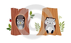 Cute owlet and raccoon sitting in tree hollow cartoon vector illustration