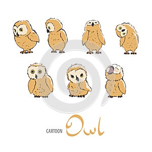 Cute owlet set