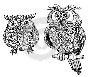 Cute owls