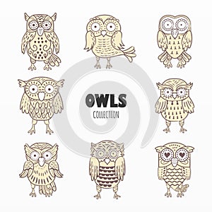 Cute owls birds cartoon set