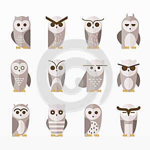 Cute owls birds cartoon set