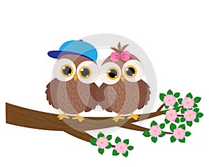 Cute owls boy and girl on a tree branch vector illustration