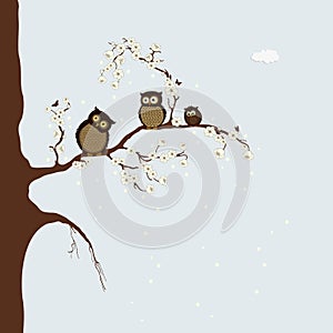 Cute owls on branch with flowers