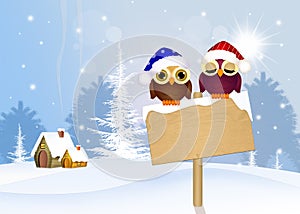 Cute owls with Christmas hat