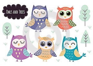 Cute owls collection. Forest animals isolated elements