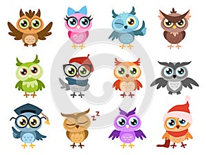 Cute owls. Colorful friendly owl, birthday kids shower stickers. Funny animal joyful forest birds, cuteness characters