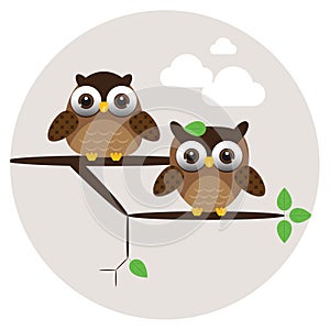Cute owls couple on the tree branch.