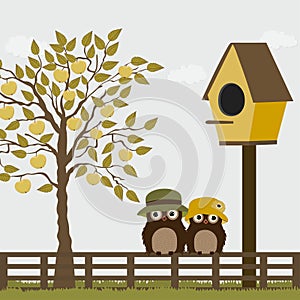 Cute owls on a fence with birdhouse and apple tree