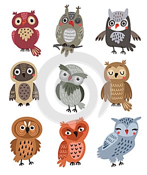 Cute owls Set of vector birds.