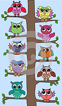 Cute owls in a tree