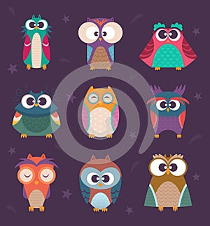 Cute owls. Wild birds kids colored vector illustrations funny cartoon owls in sunglasses