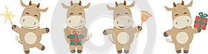 Cute ox, cow, bull in different poses isolated on white background vector flat cartoon illustration. Symbol 2021. Cow with a gift