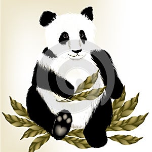 Cute panda bear on a white background