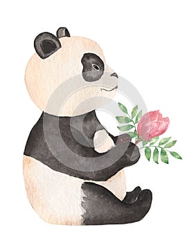 Cute Panda bear wild animal  in cartoon style. Isolated on white background
