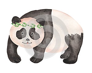 Cute Panda bear wild animal  in cartoon style. Isolated on white background