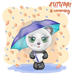 Cute panda with big eyes and an umbrella on the background of falling leaves and rain, Autumn is coming