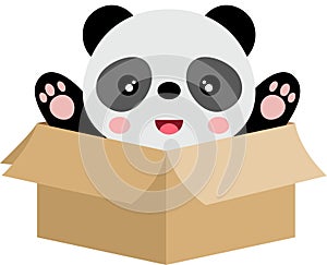 Cute panda in cardboard box