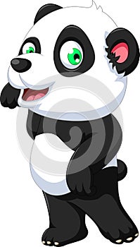 Cute panda cartoon posing