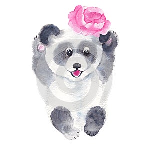 Cute panda with peony isolated on white background. Watercolor hand drawn illustration. Perfect for kid cards, baby