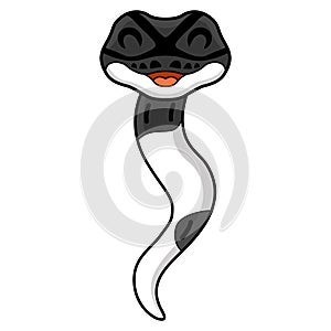 Cute panda pied ball python cartoon