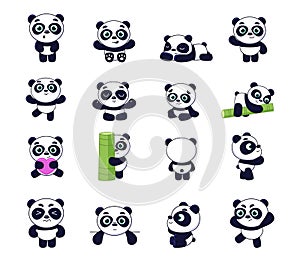 Cute panda. Poses of baby Chinese bear. Asian adorable mammal sleeps on bamboo wood or hugs heart. Emotions and actions