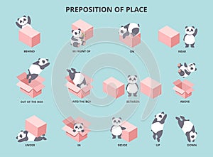 Cute panda with prepositions of place set photo