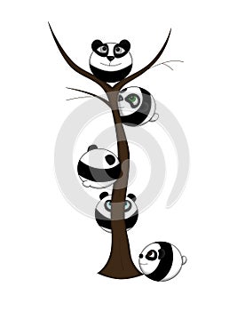 Cute pandas climbed a tree