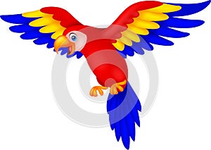 Cute parrot bird cartoon photo