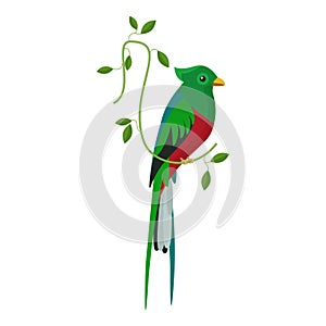 Cute parrot, bird with green and red feathers sitting on branch of tropical plant